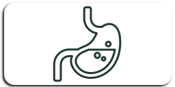 گوارش و معده